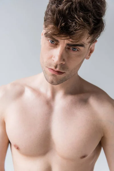 Серьезный сексуальный мускулистый мужчина без рубашки, смотрящий на камеру, изолированную на сером — стоковое фото