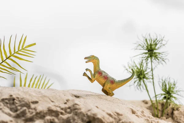 Foco seletivo de dinossauro brinquedo na duna de areia com folhas tropicais — Fotografia de Stock