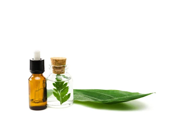 Bottles with liquid near green fresh leaf isolated on white — Stock Photo