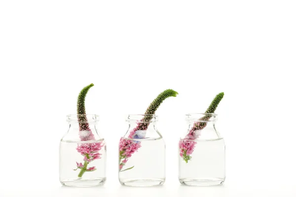 Glasflaschen mit rosa Veronika-Blüten isoliert auf weiß — Stockfoto