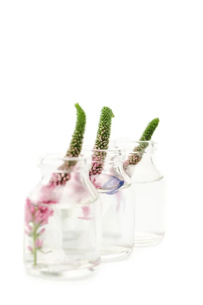 Selective focus of glass bottles with pink veronica flowers isolated on white — Stock Photo