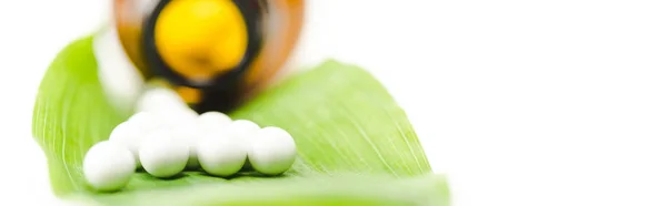 Panoramic shot of small round pills on green leaf near bottle isolated on white — Stock Photo