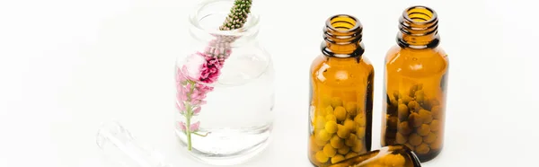 Panoramic shot of veronica flower in glass bottle near pills isolated on white — Stock Photo