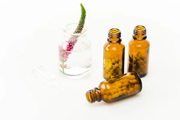 Pink veronica flower in glass bottle near pills on white — Stock Photo