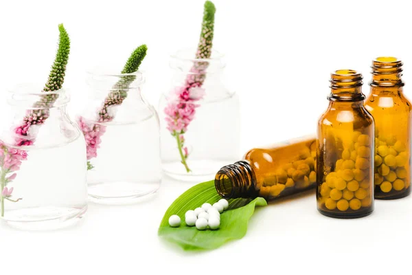 Pink veronica flowers in glass bottles near small round pills on green leaf on white — Stock Photo