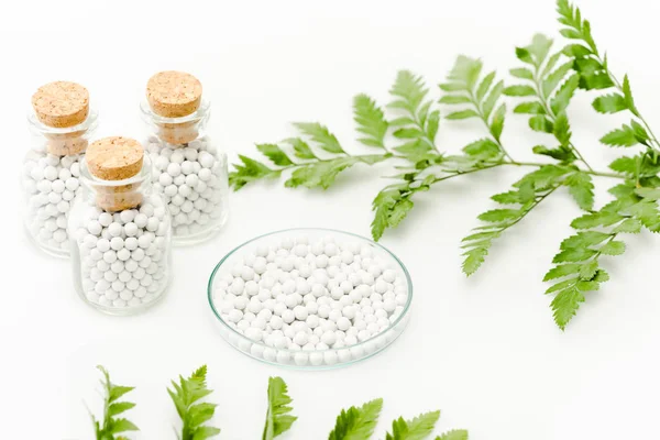 Selective focus of round pills in glass plate near bottles with wooden corks and green leaves on white — Stock Photo