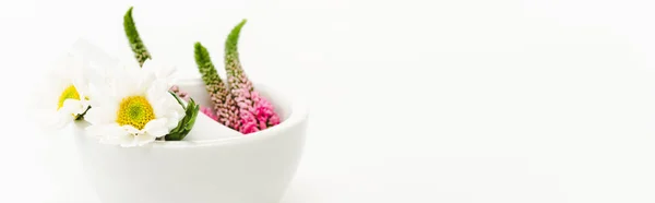 Veronica and chrysanthemum flowers in mortar near pestle isolated on white — Stock Photo