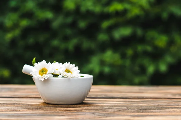 Pilão em argamassa com flores de crisântemo em mesa de madeira — Fotografia de Stock