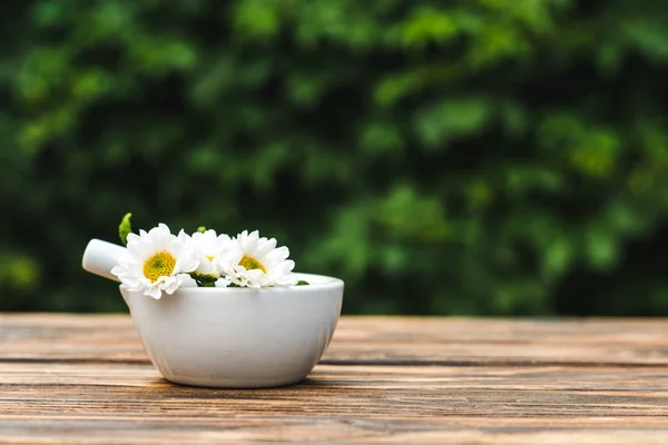 Mortero en mortero con flores de crisantemo sobre mesa de madera - foto de stock