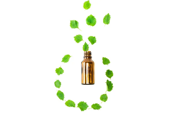 Top view of bottle near green fresh leaves isolated on white — Stock Photo