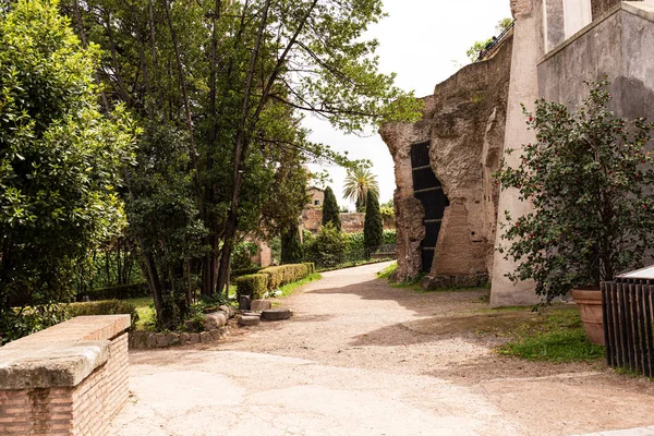 Arbres verts et buissons près de vieux bâtiment dans une journée ensoleillée à Rome, en Italie — Photo de stock