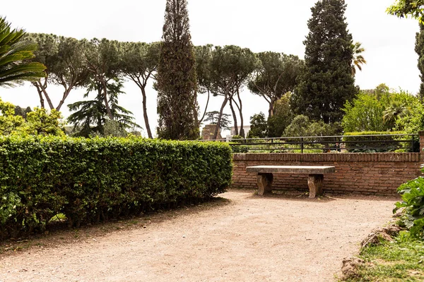 Beau parc avec des buissons verts et des arbres dans la journée ensoleillée à Rome, en Italie — Photo de stock
