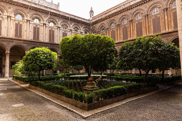 ROMA, ITALIA - 28 DE JUNIO DE 2019: edificios antiguos y árboles verdes - foto de stock