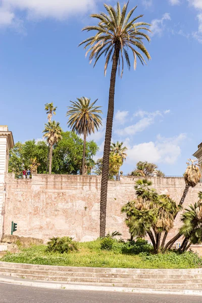 ROMA, ITALIA - 28 DE JUNIO DE 2019: Pareja de mediana edad cerca de palmeras bajo el cielo azul - foto de stock