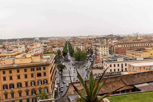 ROMA, ITALIA - 28 GIUGNO 2019: focus selettivo di aloe vera e persone con ombrelloni in strada — Foto stock