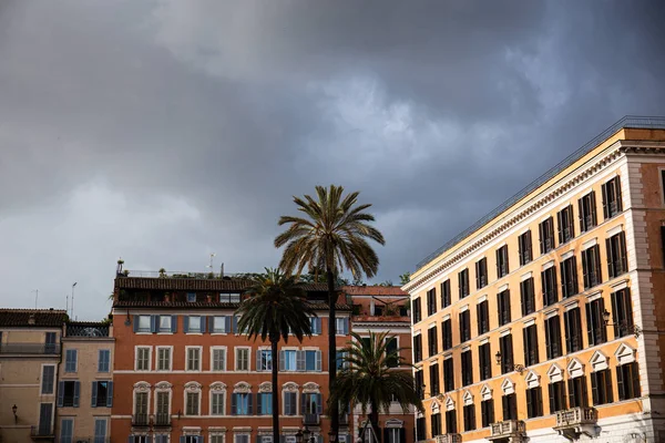 Edifici e palme esotiche sotto cielo coperto a Roma, Italia — Foto stock