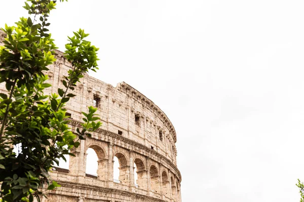 Рим, Італія-28 червня 2019: панорамний постріл старі руїни Колізей — стокове фото