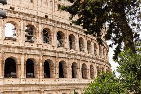 ROMA, ITALIA - 28 DE JUNIO DE 2019: Coliseo y árboles verdes bajo el cielo gris - foto de stock