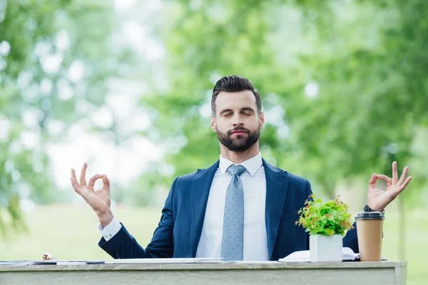 Handsome young businessman meditating while sitting at table with plant in white flowerpot in park — Stock Photo