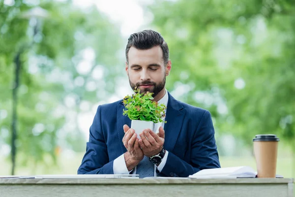 Guapo joven empresario sosteniendo maceta con planta mientras está sentado detrás de la mesa en el parque - foto de stock