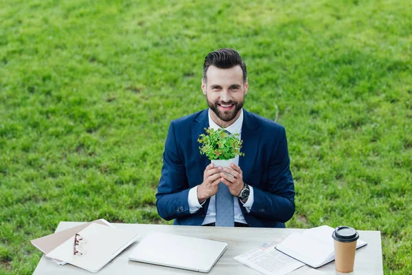 Feliz joven empresario guapo sosteniendo planta blanca sentado detrás de la mesa en el parque - foto de stock