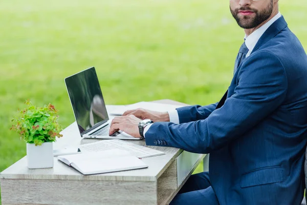 Vista ritagliata di giovane uomo d'affari utilizzando computer portatile dietro tavolo bianco con quaderni e pianta in vaso da fiori nel parco — Foto stock