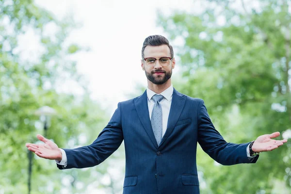 Вид спереду молодого бізнесмена жестикулює, стоячи в парку — стокове фото