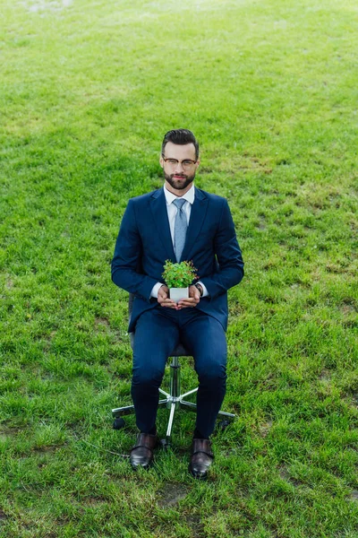 Vue grand angle de jeune homme d'affaires tenant pot de fleurs avec plante tout en étant assis dans le parc dans la chaise de bureau — Photo de stock