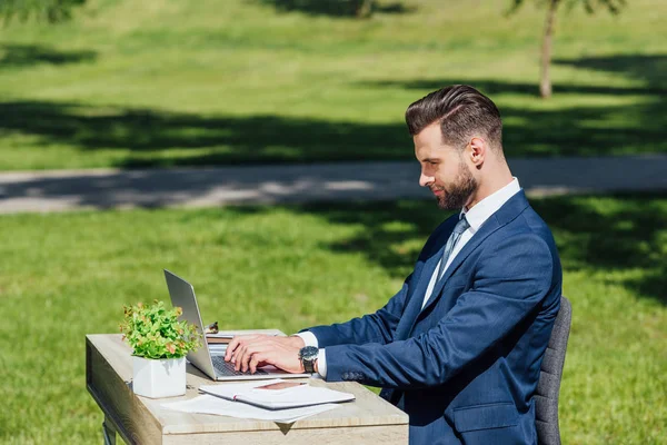 Vue latérale de l'homme d'affaires en utilisant un ordinateur portable dans le parc tout en étant assis à table avec pot de fleurs et ordinateurs portables — Photo de stock