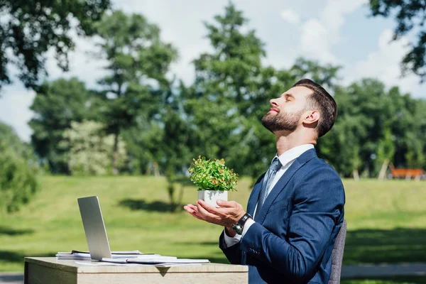 Vista laterale dell'uomo d'affari con gli occhi chiusi che tiene il vaso da fiori mentre siede nel parco a tavola con il computer portatile — Foto stock