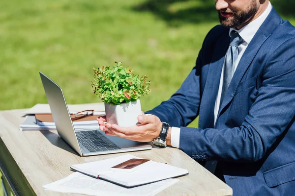 Vista ritagliata di giovane uomo d'affari seduto dietro il tavolo con computer portatile e quaderni e tenendo vaso da fiori con pianta — Foto stock