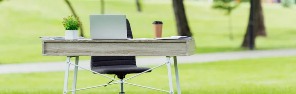 Foto panoramica di tavolo da ufficio bianco con computer portatile, caffè da asporto e vaso da fiori nel parco — Foto stock