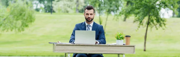 Plano panorámico del hombre de negocios usando el ordenador portátil mientras está sentado en la mesa en el parque - foto de stock