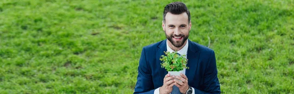 Panoramic shot of young businessman holding flowerpot with plant, smiling and looking at camera — Stock Photo