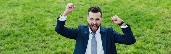 Plan panoramique de jeune homme d'affaires excité levant les mains dans l'air tout en se tenant dans le parc — Photo de stock