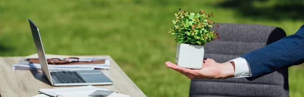 Colpo panoramico di uomo che tiene vaso da fiori con pianta in piedi nel parco vicino al tavolo con computer portatile — Foto stock