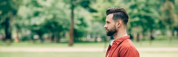 Plano panorámico del hombre de pie en el parque y mirando hacia otro lado - foto de stock