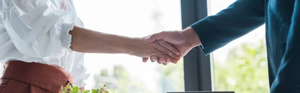 Panoramic shot of employee and recruiter shaking hands — Stock Photo