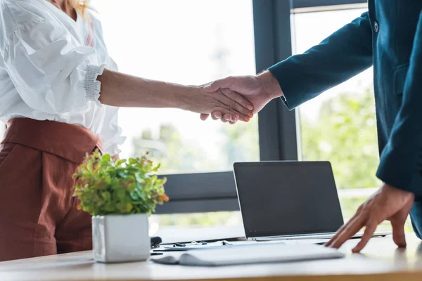 Selektiver Fokus von Mitarbeitern und Personalvermittlern beim Händeschütteln in der Nähe der grünen Anlage — Stockfoto