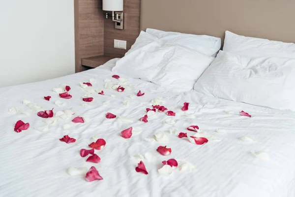 White and pink rose petals on white sheet on bed in bedroom — Stock Photo