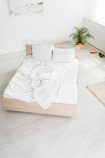 High angle view of modern bedroom with bed and plant — Stock Photo