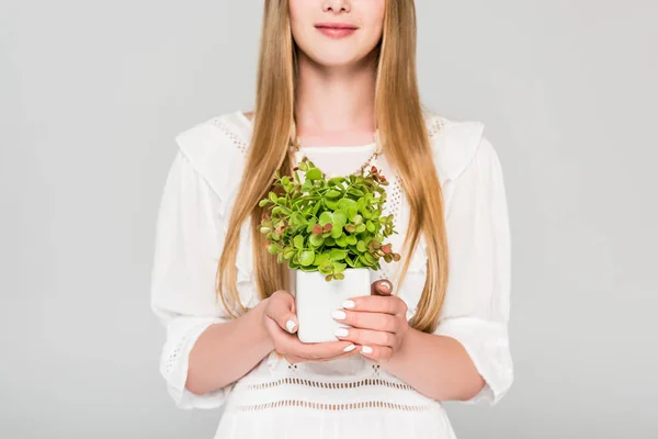 Vue recadrée d'une jeune fille tenant un pot de fleurs avec une plante isolée sur gris — Photo de stock