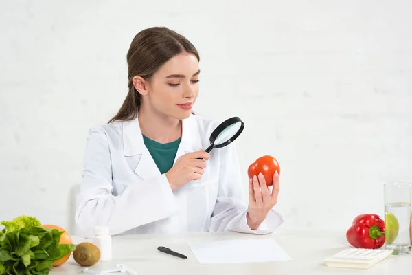 Dietitian in white coat looking at tomato through magnifying glass — Stock Photo