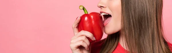 Tiro panorâmico de jovem mulher comendo pimentão vermelho isolado em rosa — Fotografia de Stock
