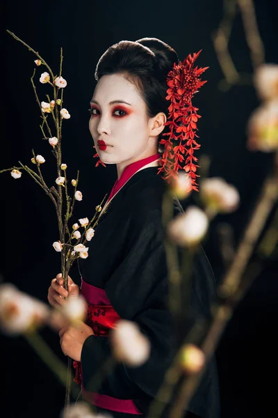 Messa a fuoco selettiva di bella geisha in kimono nero con fiori rossi nei capelli e rami di sakura isolati su nero — Foto stock