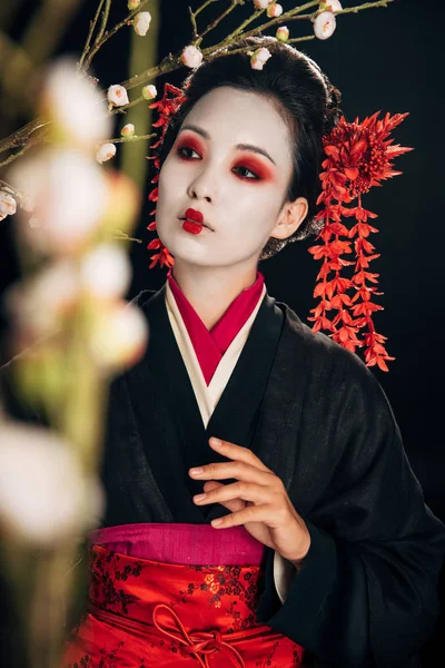 Selective focus of beautiful geisha in black kimono with red flowers in hair among sakura branches isolated on black — Stock Photo