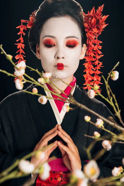 Selective focus of beautiful geisha in black kimono with red flowers in hair looking at sakura branches isolated on black — Stock Photo