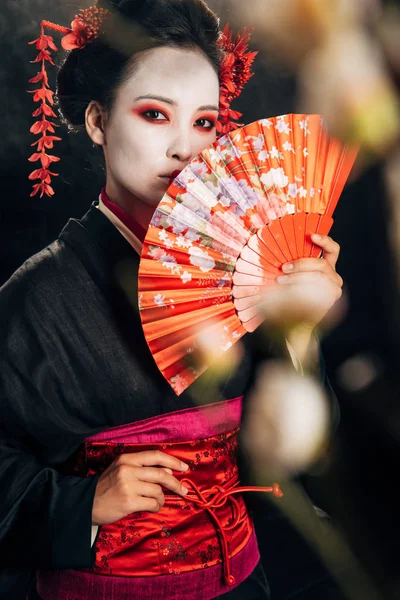 Foco seletivo da bela gueixa em quimono preto com flores no cabelo segurando mão fã e ramos sakura isolados em preto — Fotografia de Stock