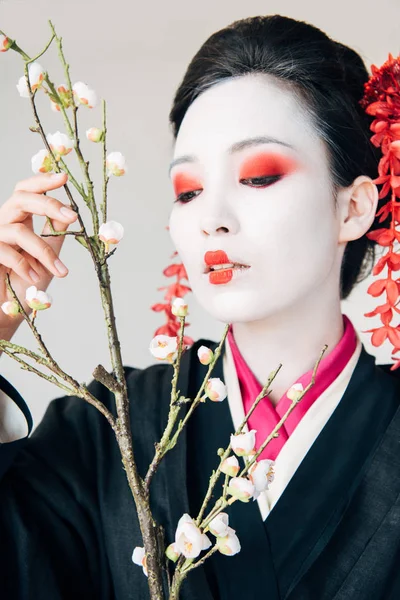 Zweige und schöne Geisha mit rot-weißem Make-up isoliert auf weiß — Stockfoto