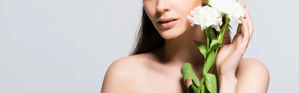 Cropped view of naked beautiful brunette woman with white carnations isolated on grey — Stock Photo